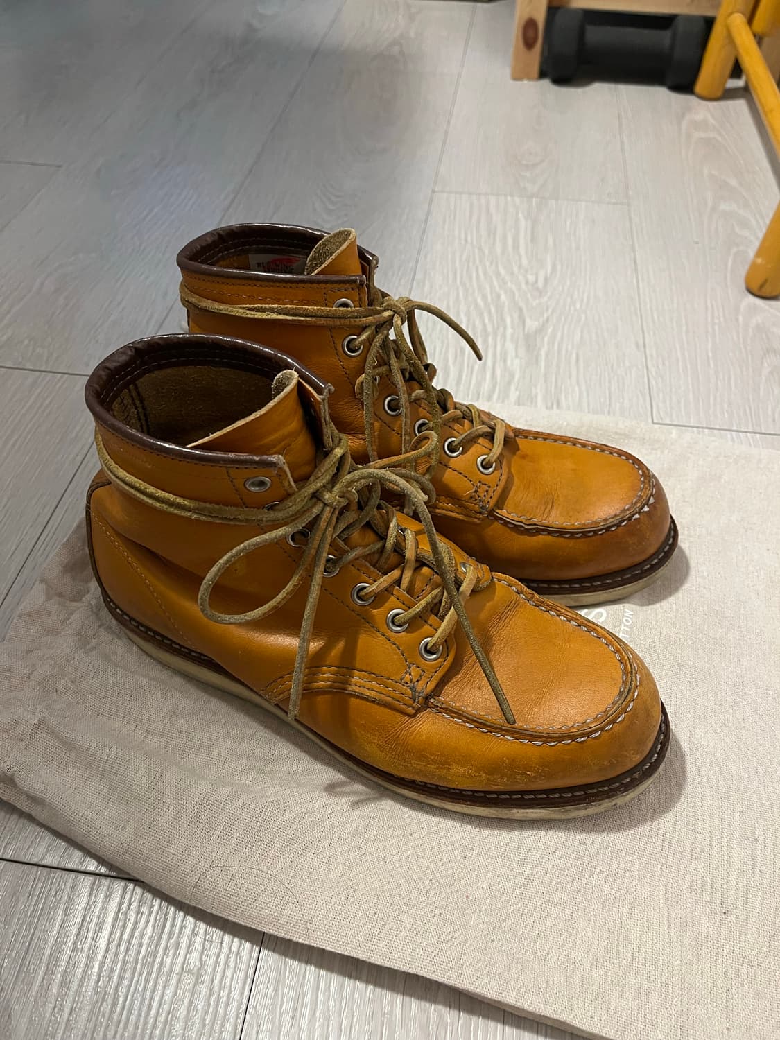 레드윙 아이리쉬세터 상품이미지2