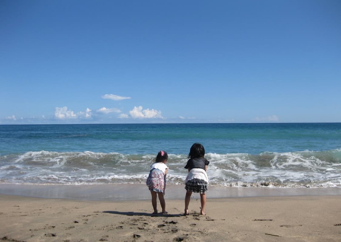 희귀!! CANON IXUS 80 핑크 캐논 익서스 80 빈티지 디카 상품이미지4
