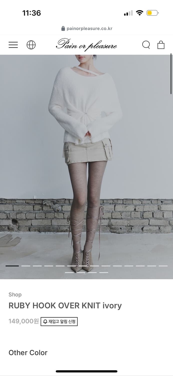 페인오어플레져 상품이미지5