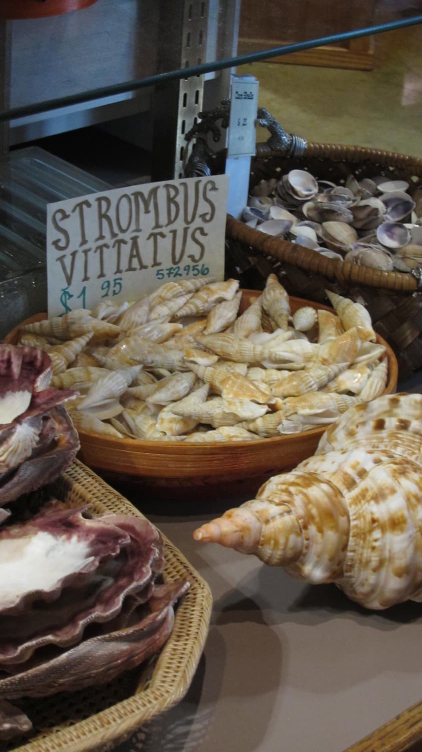 캐논 익서스 310hs Canon ixus 310hs 핑크 상품이미지9