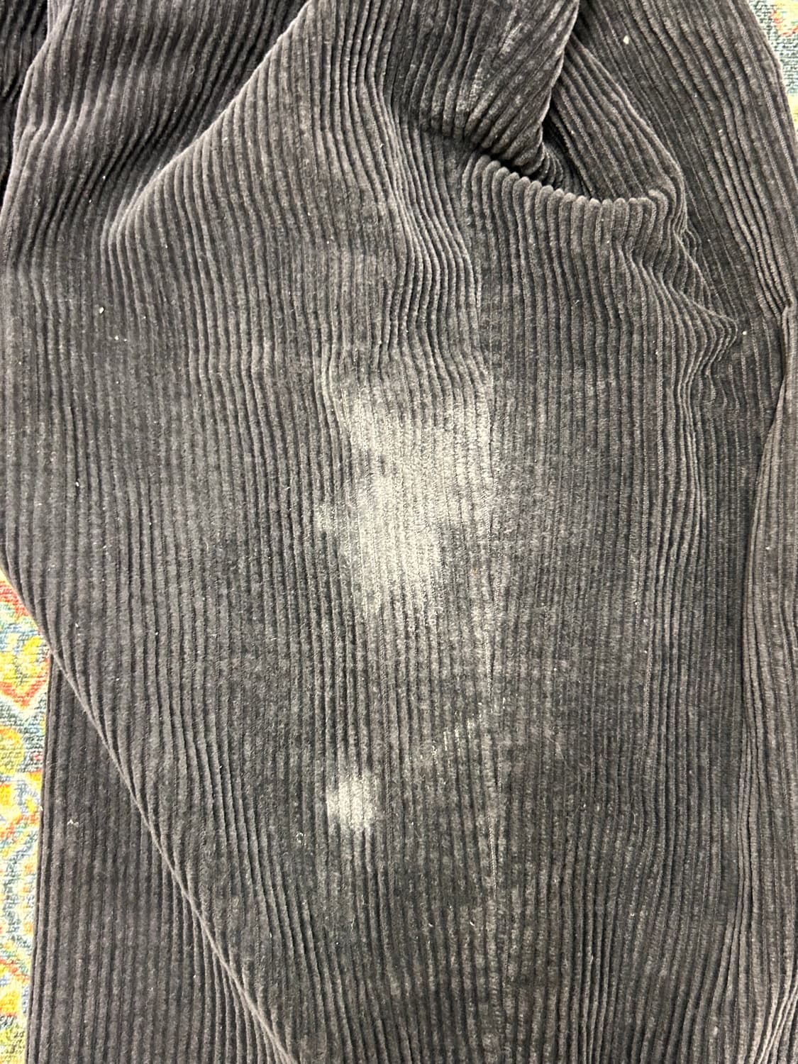 Bangbang Jeans 코듀로이 팬츠 상품이미지3