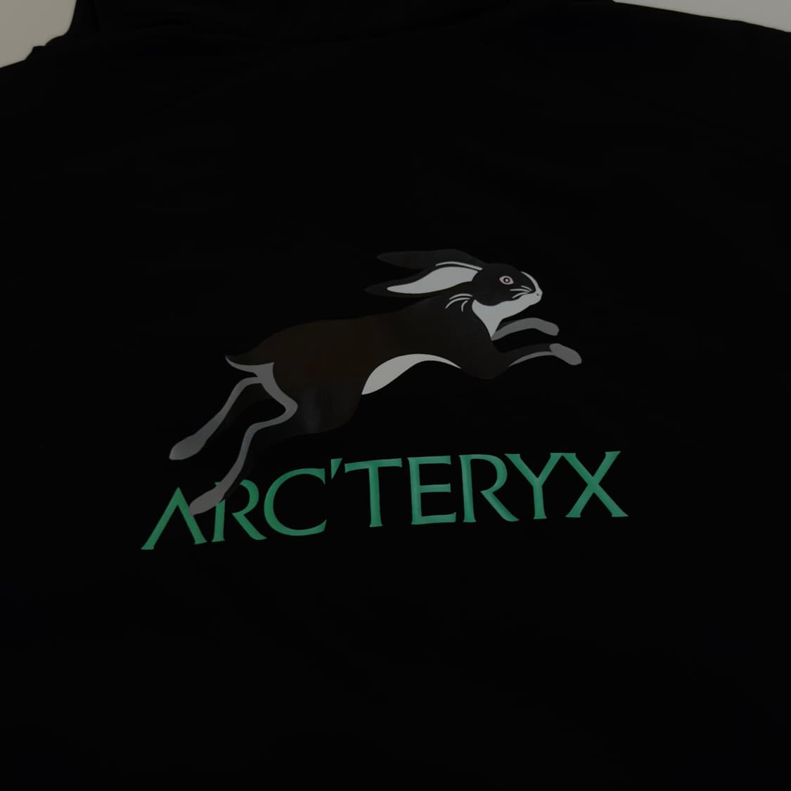 아크테릭스 아톰 LT 후디 블랙 M (루나 뉴 이어 한정판) 상품이미지2