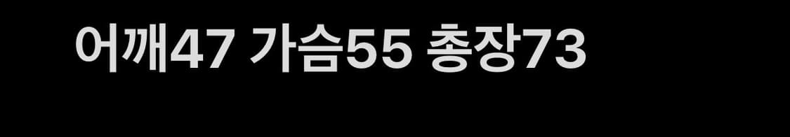 NBA 시카고불스 바시티자켓 상품이미지8