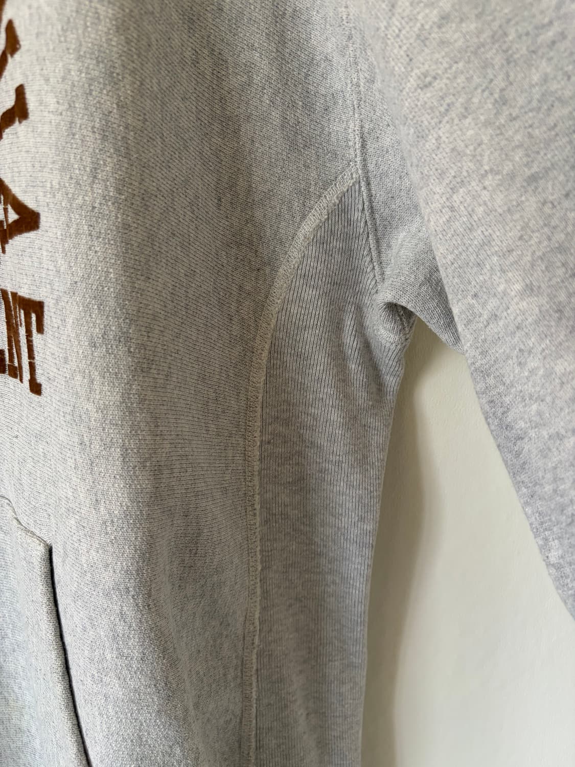 챔피온 리버스위브 기모 후드 상품이미지3