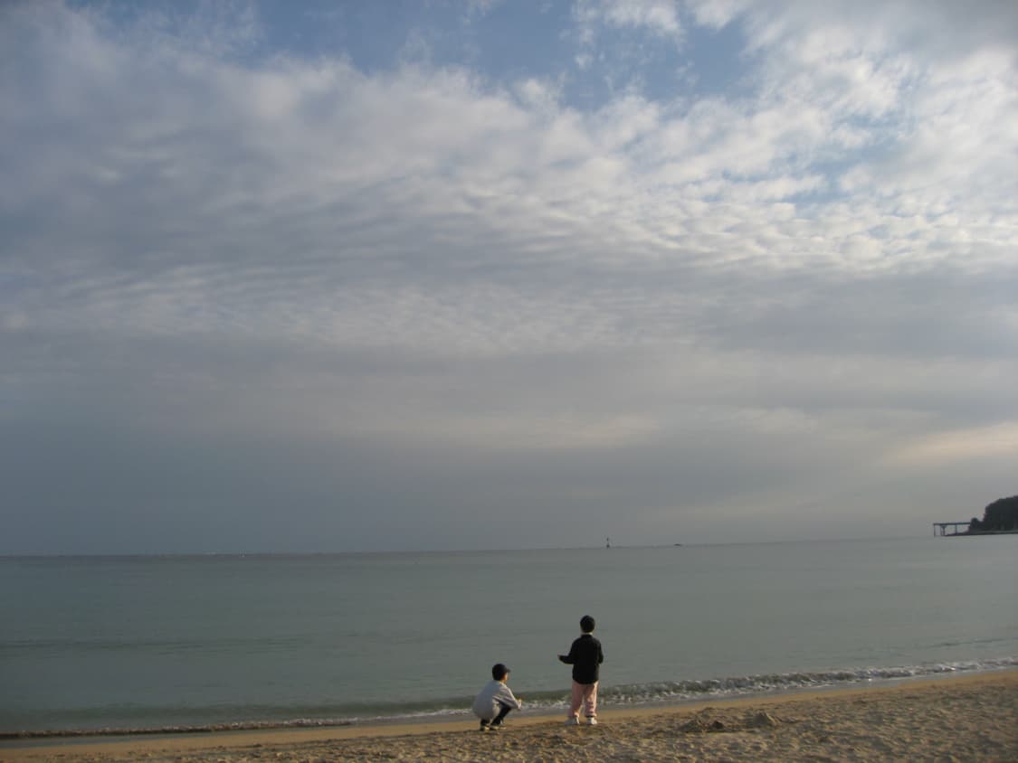 Canon ixus 800IS 디카 상품이미지6