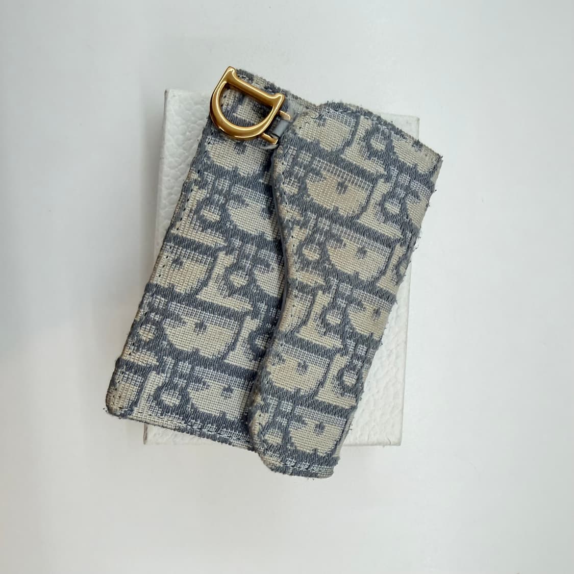 디올 오블리크 새들 카드지갑 상품이미지1