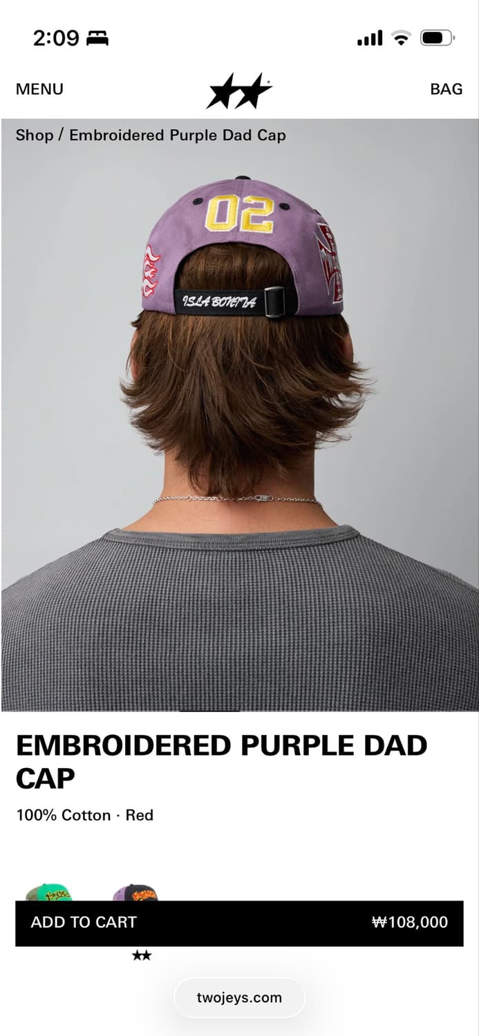 Twojeys Embroidered Purple Dad Cap 상품이미지4