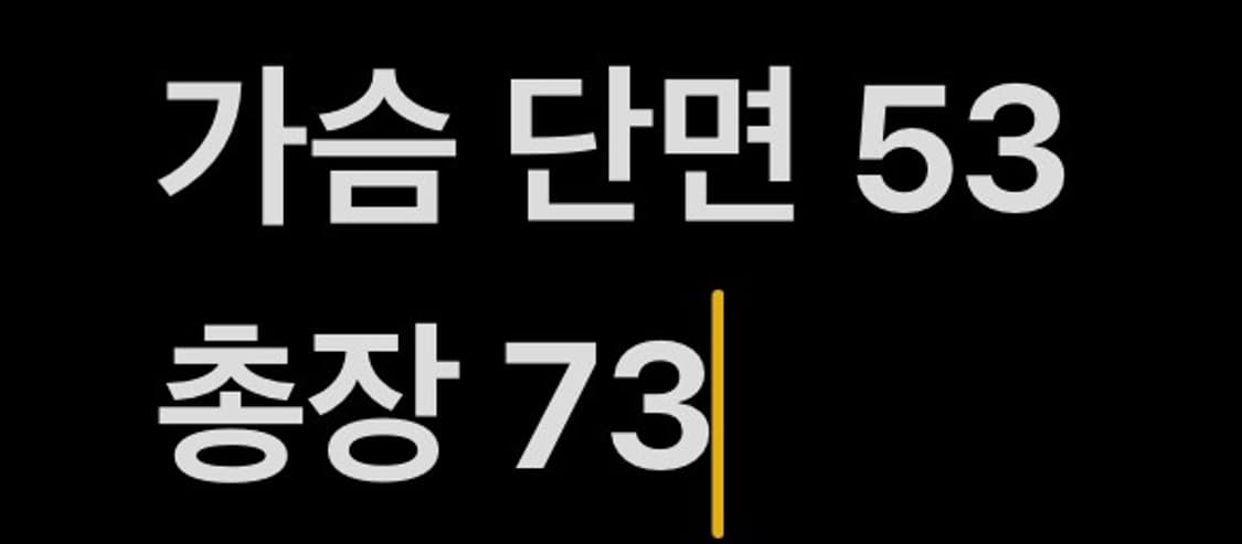 [ L,100 ] 나이키 2002 월드컵 국대 반팔 유니폼 b16 상품이미지7