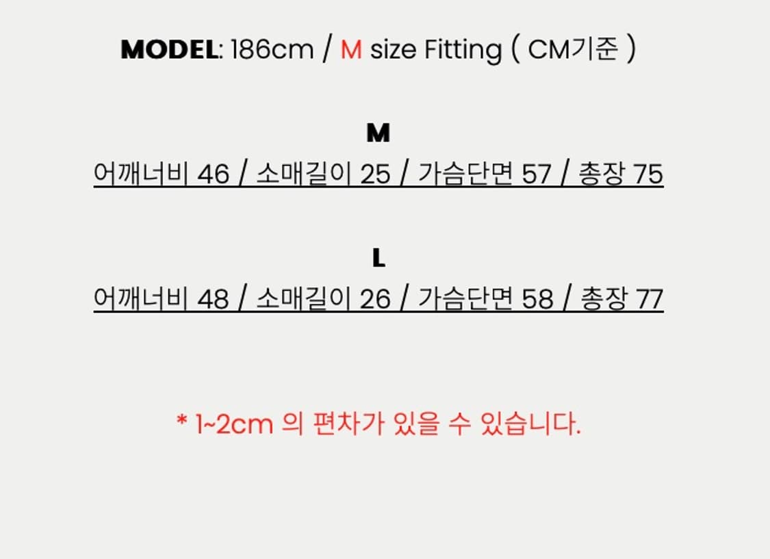 애니타임로릭 L 셔츠 상품이미지7