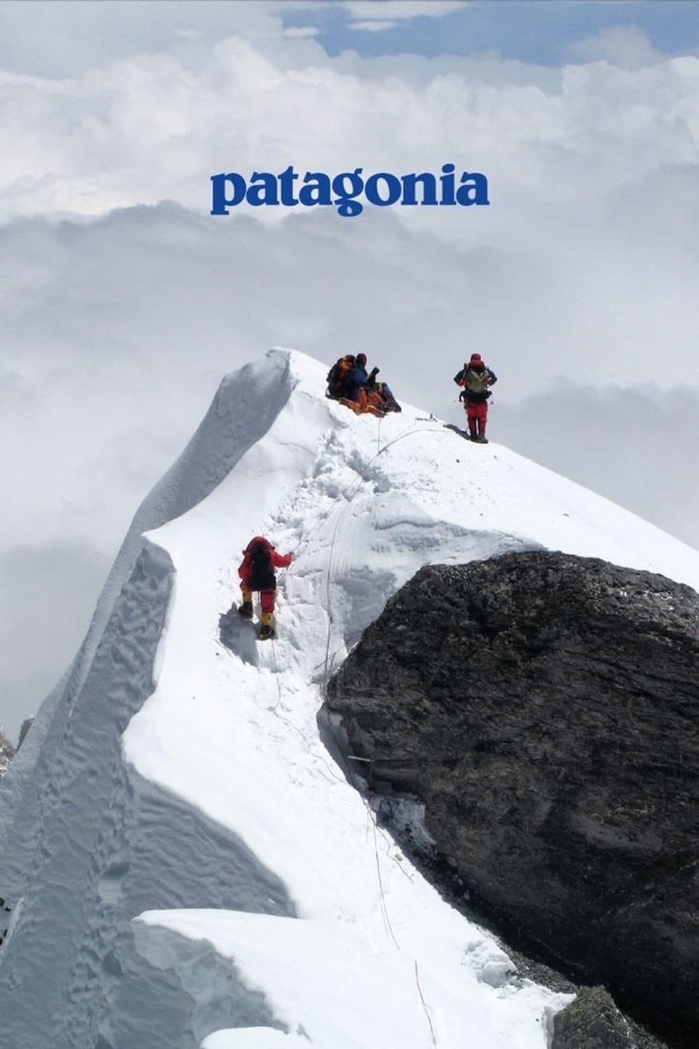 patagonia 올드 파타고니아 라퓨지오 28L 데이팩 백팩 상품이미지10