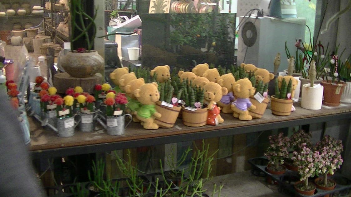 JVC gz-hm670 캠코더 작례있음 상품이미지8