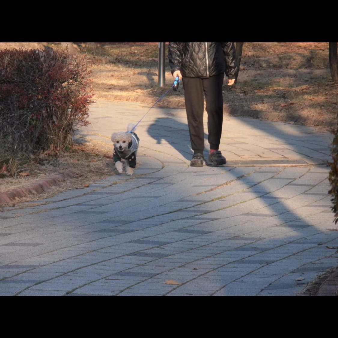 올림푸스 VR-320 + 케이스  오션 블루🌊 빈티지 디카 디지털카메라 상품이미지4