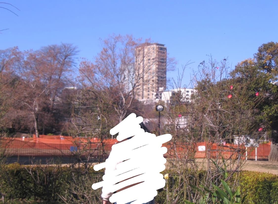 캐논 파워샷a70 디카(작례ㅇ) 상품이미지10