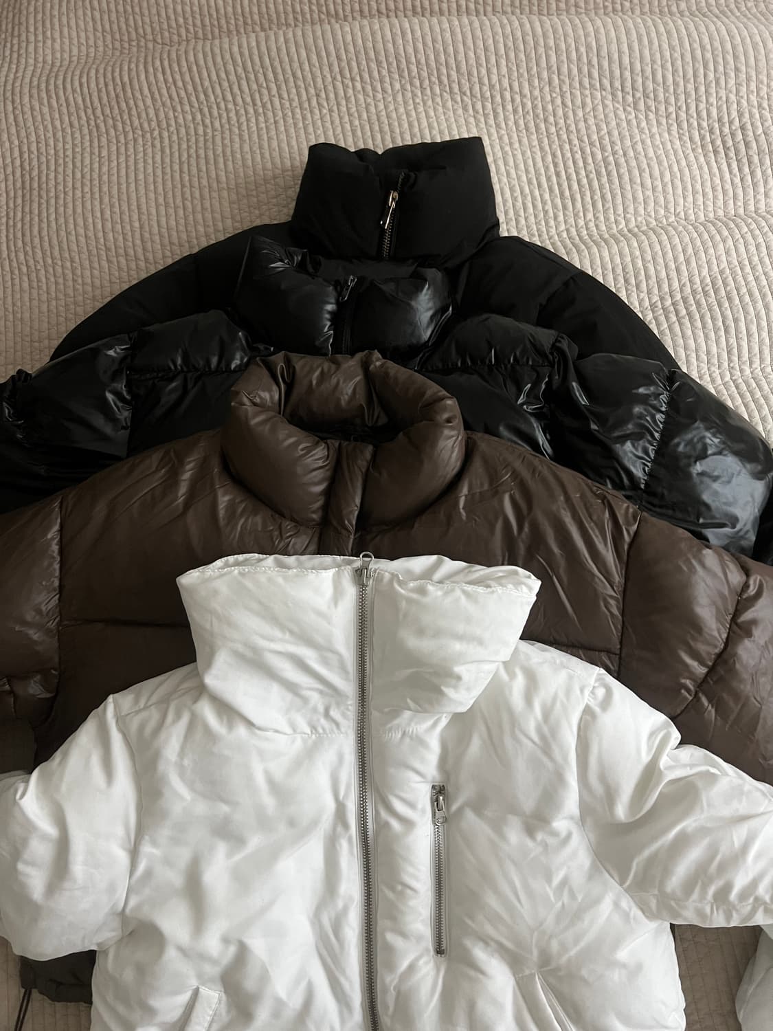 비터쉘즈(bittercells),버쉬카,포에버21,에잇세컨즈 크롭패딩 상품이미지9