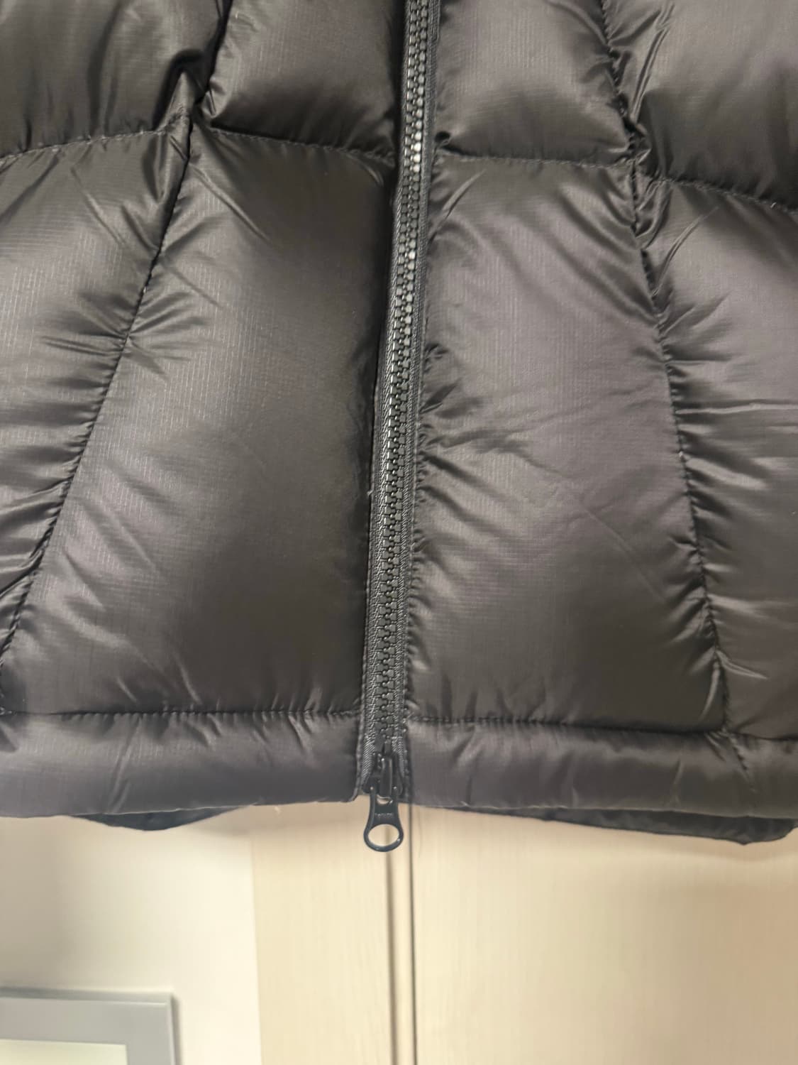 노스페이스 화이트라벨 퍼텍스 듀론 구스다운 패딩 상품이미지5