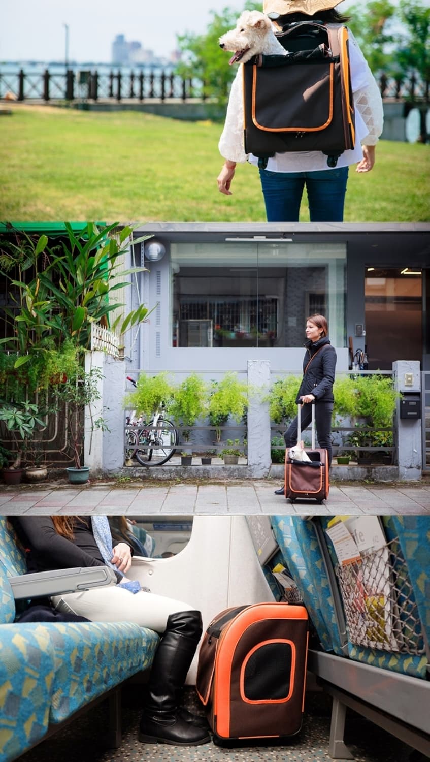 반려견 반려묘 이비야야 캐리어 백팩 이동가방 상품이미지3