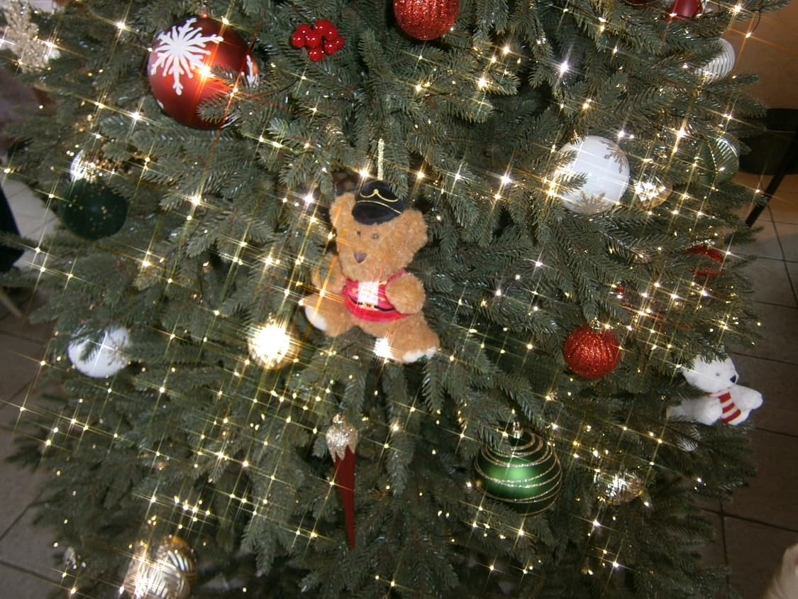 소프트포커스) 올림푸스 VG-140 블루 판매 상품이미지9