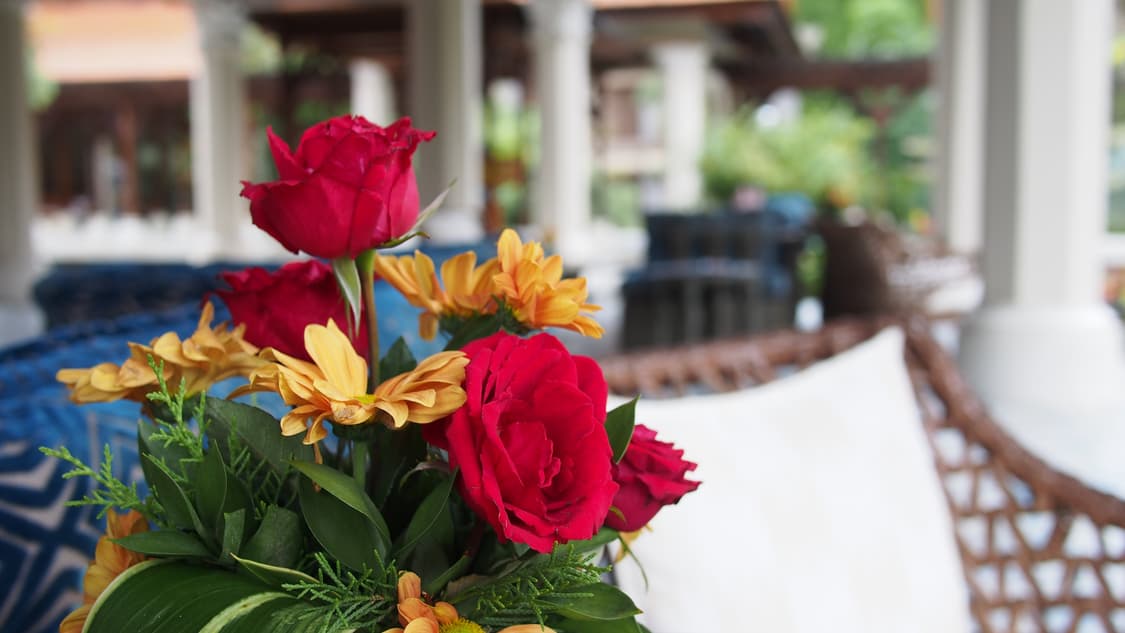 올림푸스 PEN Lite E-PL5 미러리스 카메라 + 20mm 렌즈 상품이미지10