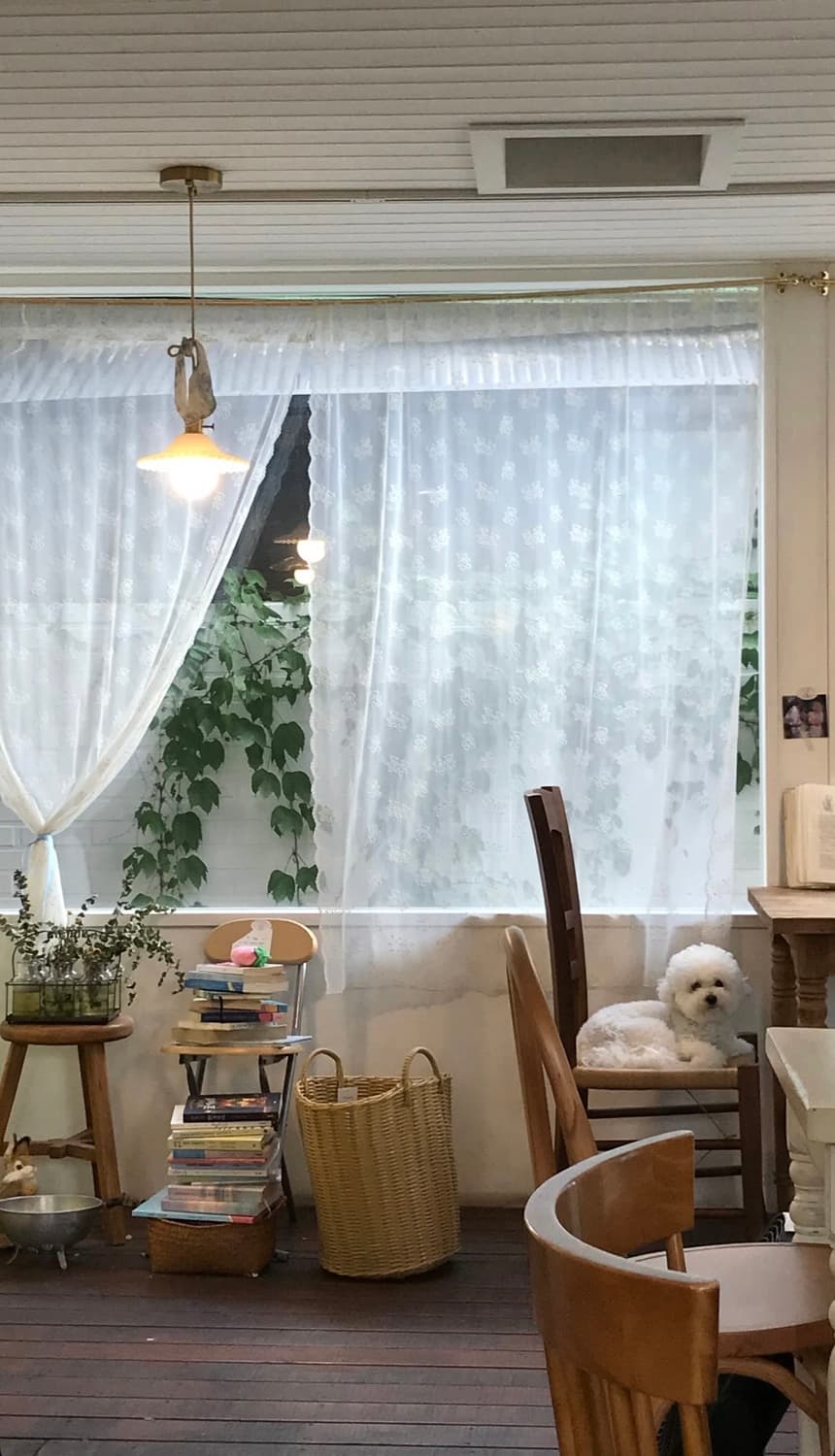 아이폰7 128기가 로즈골드 상품이미지4