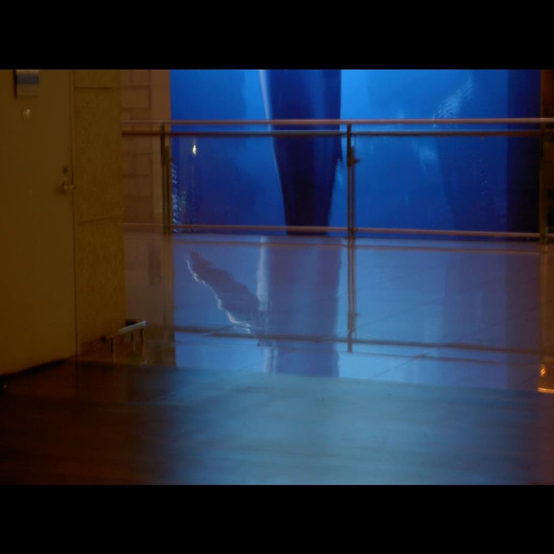 작례⭕️ 미놀타 디마지 디미지 G530 상품이미지3