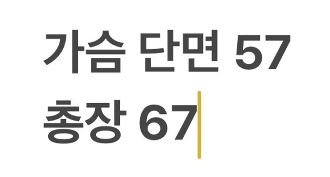 [정품/L] 노스페이스 다이아 퀼팅 자켓 아이보리 b12 상품이미지9