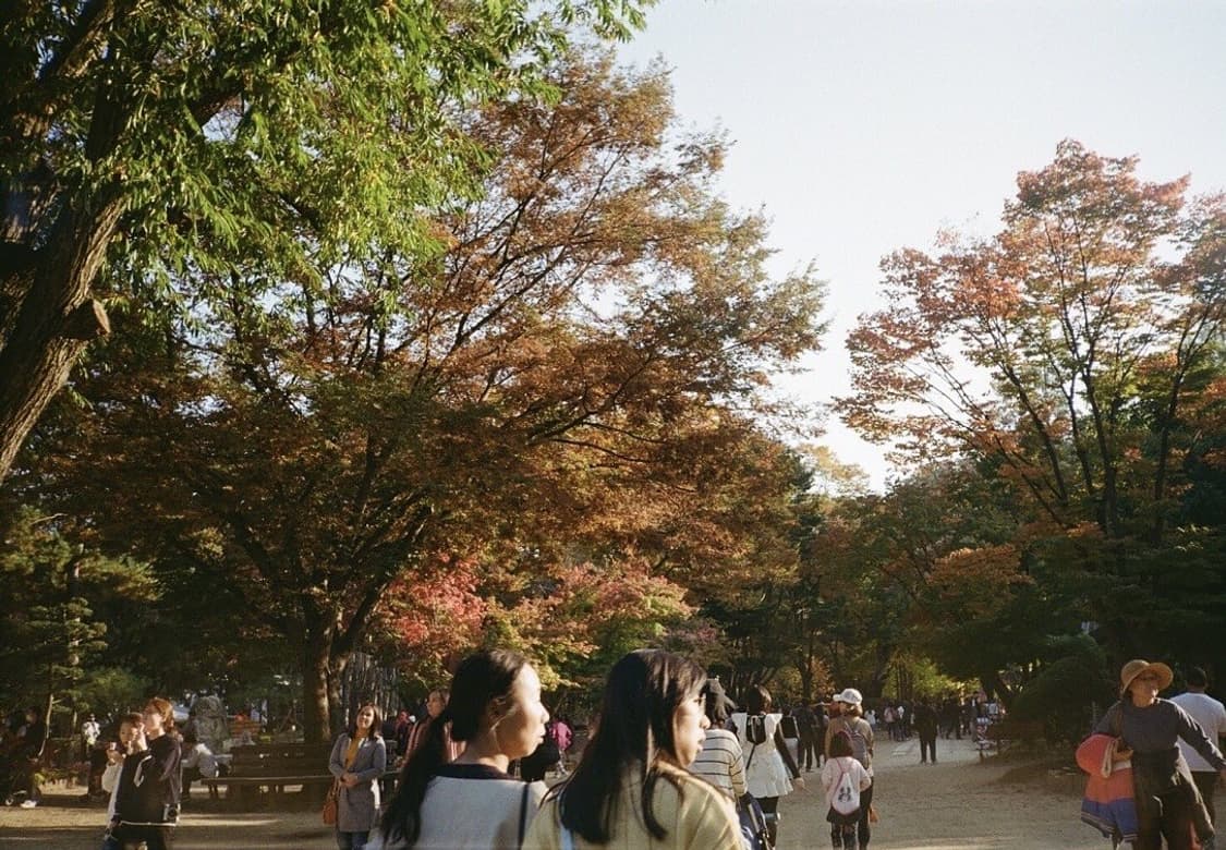 입문 강추 캐논 snappy ez 풀오토 필름카메라 빈티지 필카 상품이미지4