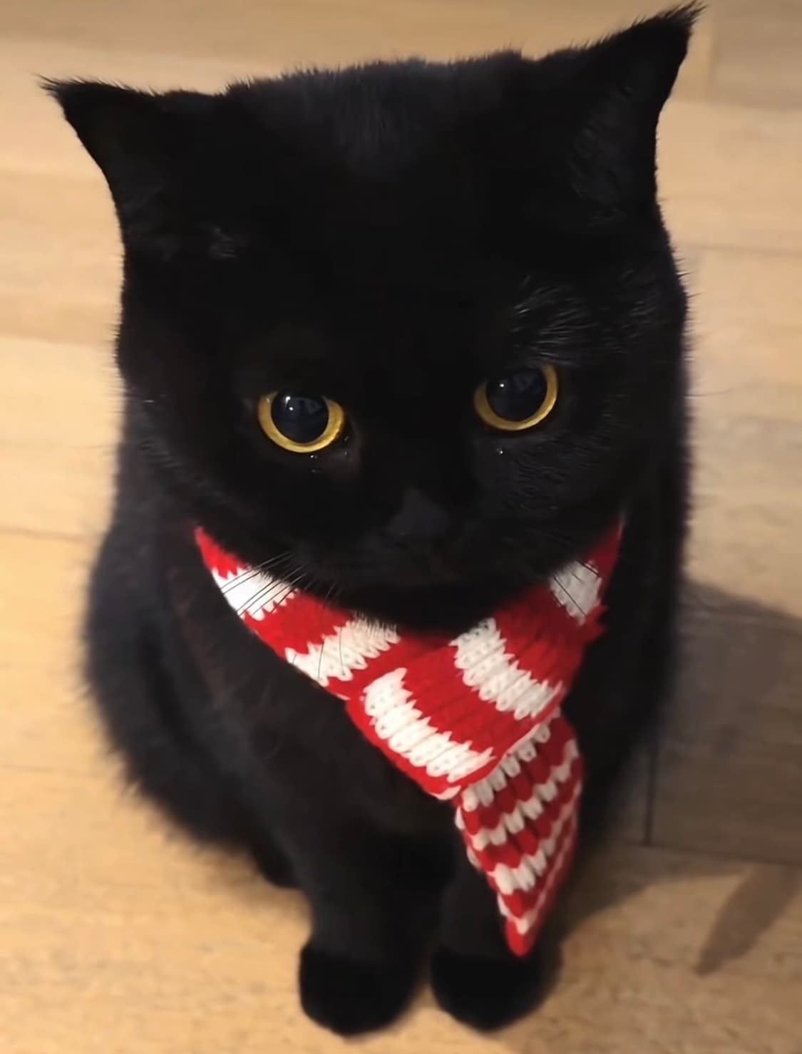 oldness님 거래창 상품이미지1