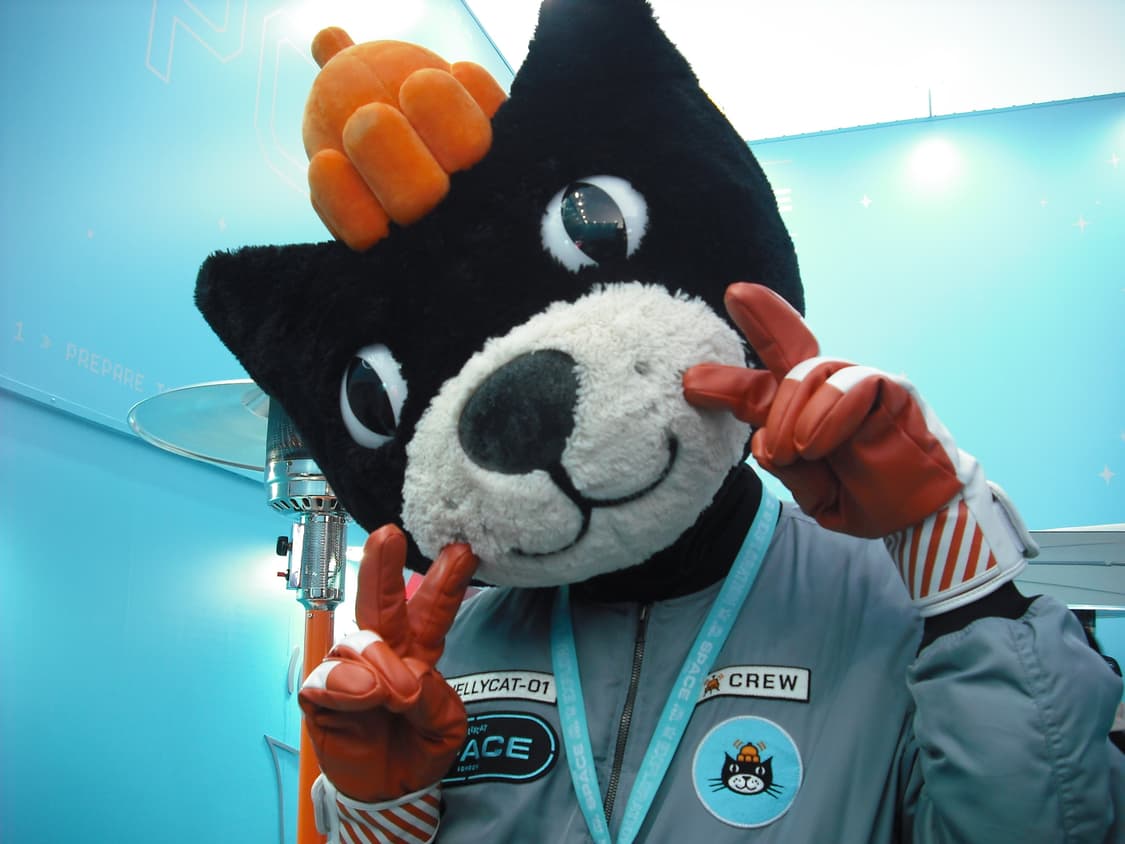 Fujifilm Finepix J15Fd 디카 상품이미지3