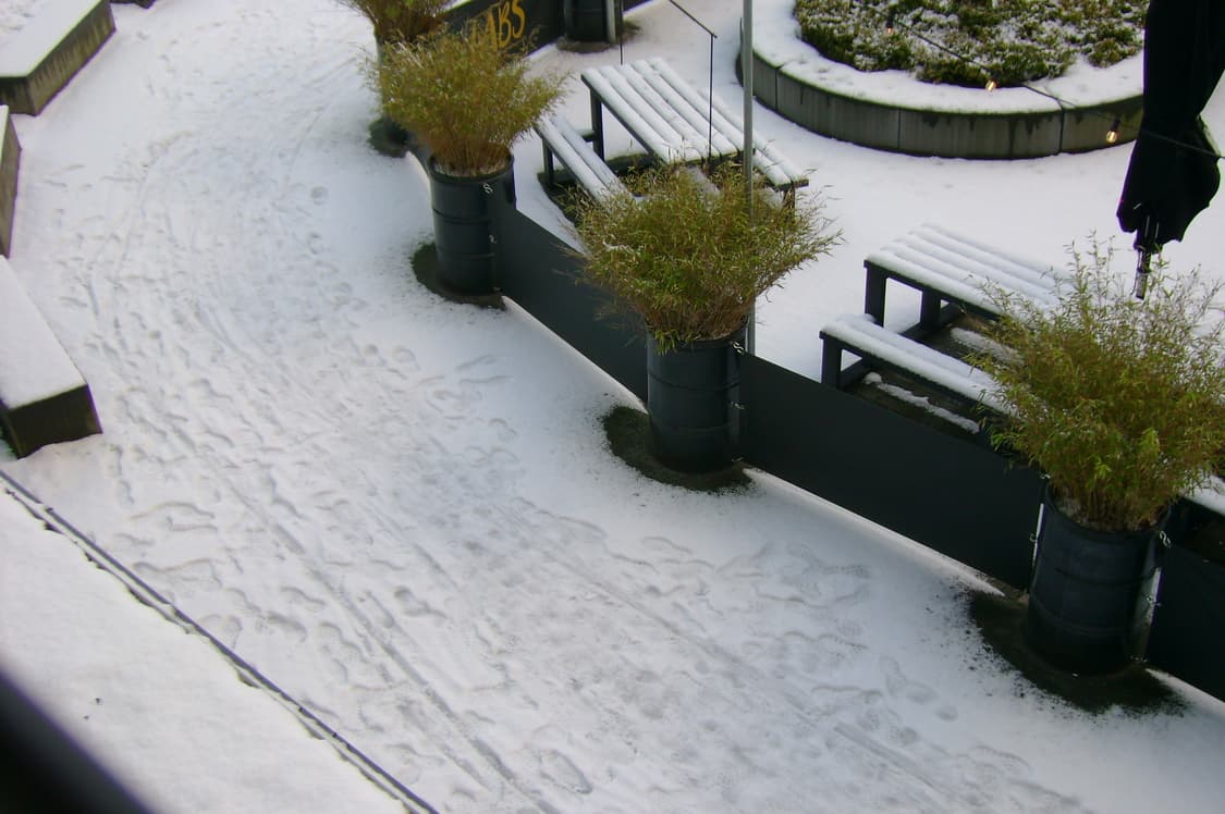 (작례o) 소니 사이버샷 dsc s500 상품이미지7