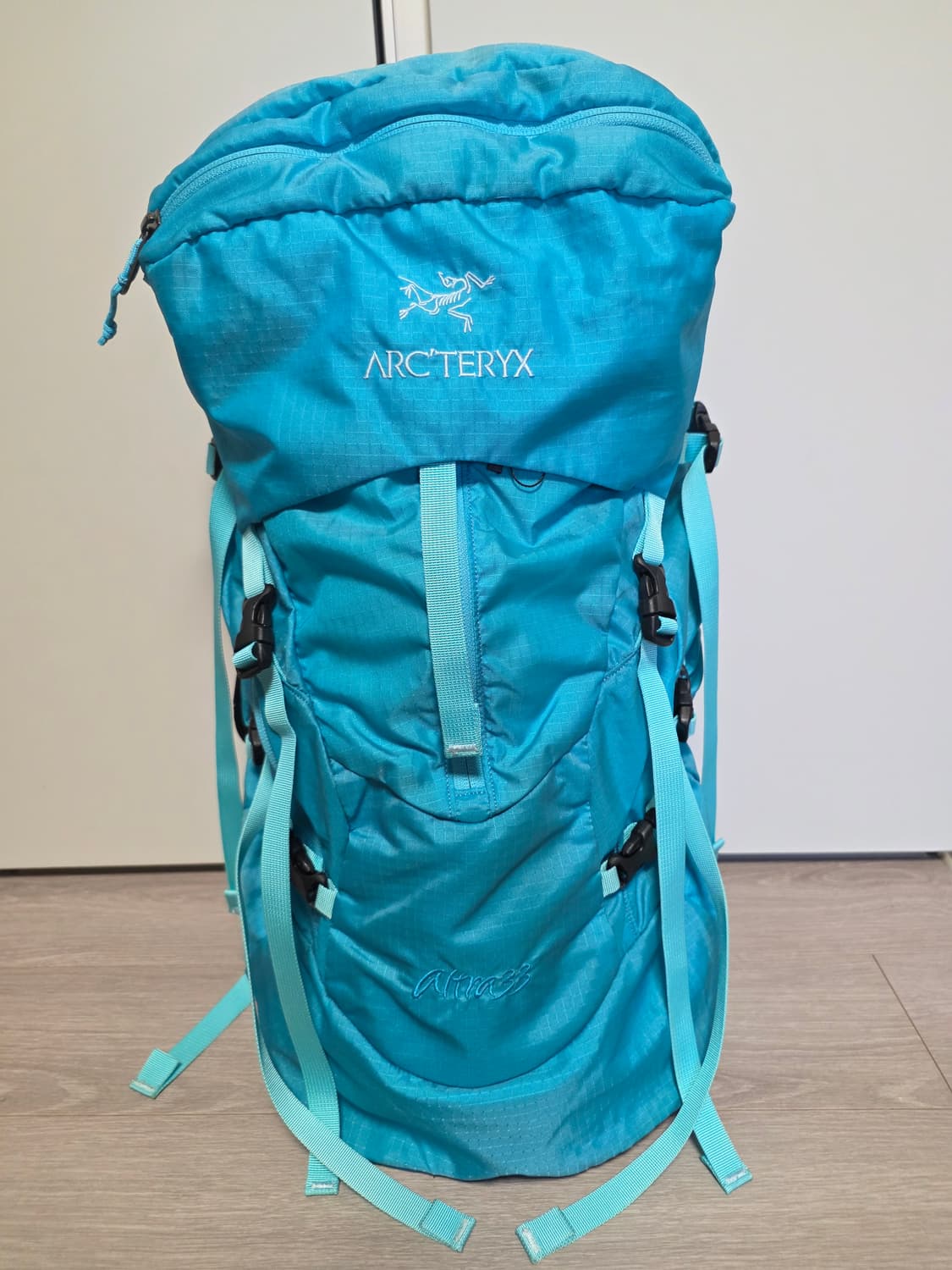 아크테릭스 Altra 33 백팩 Electric Blue

 상품이미지1