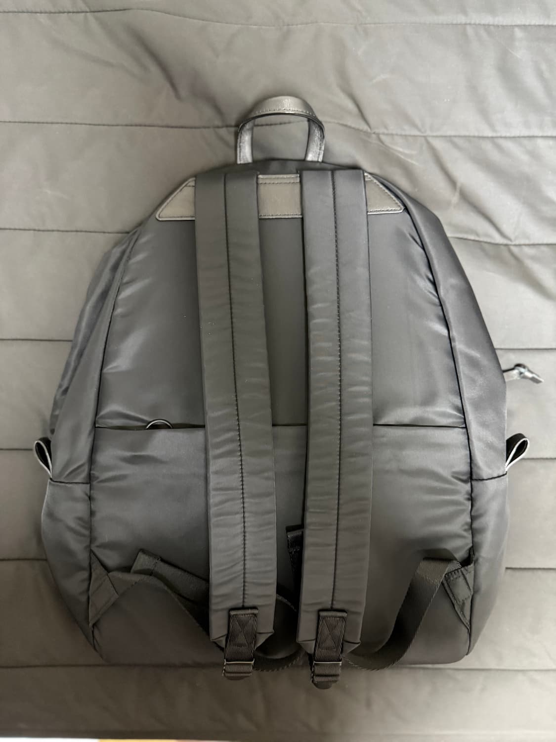 월스와일 무브먼트 마일드 팩 블랙 팝니다 상품이미지2