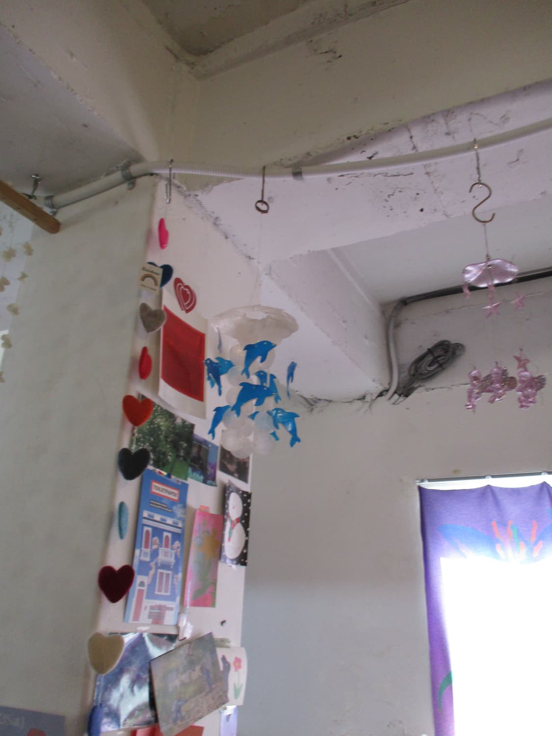 (작례/뽀용)후지필름Fujifilm FinePix JV250 디카 상품이미지5