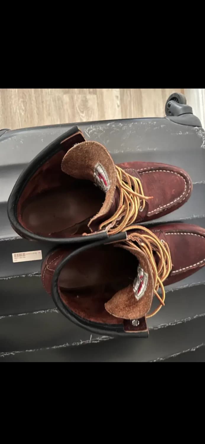 레드윙8146 상품이미지5