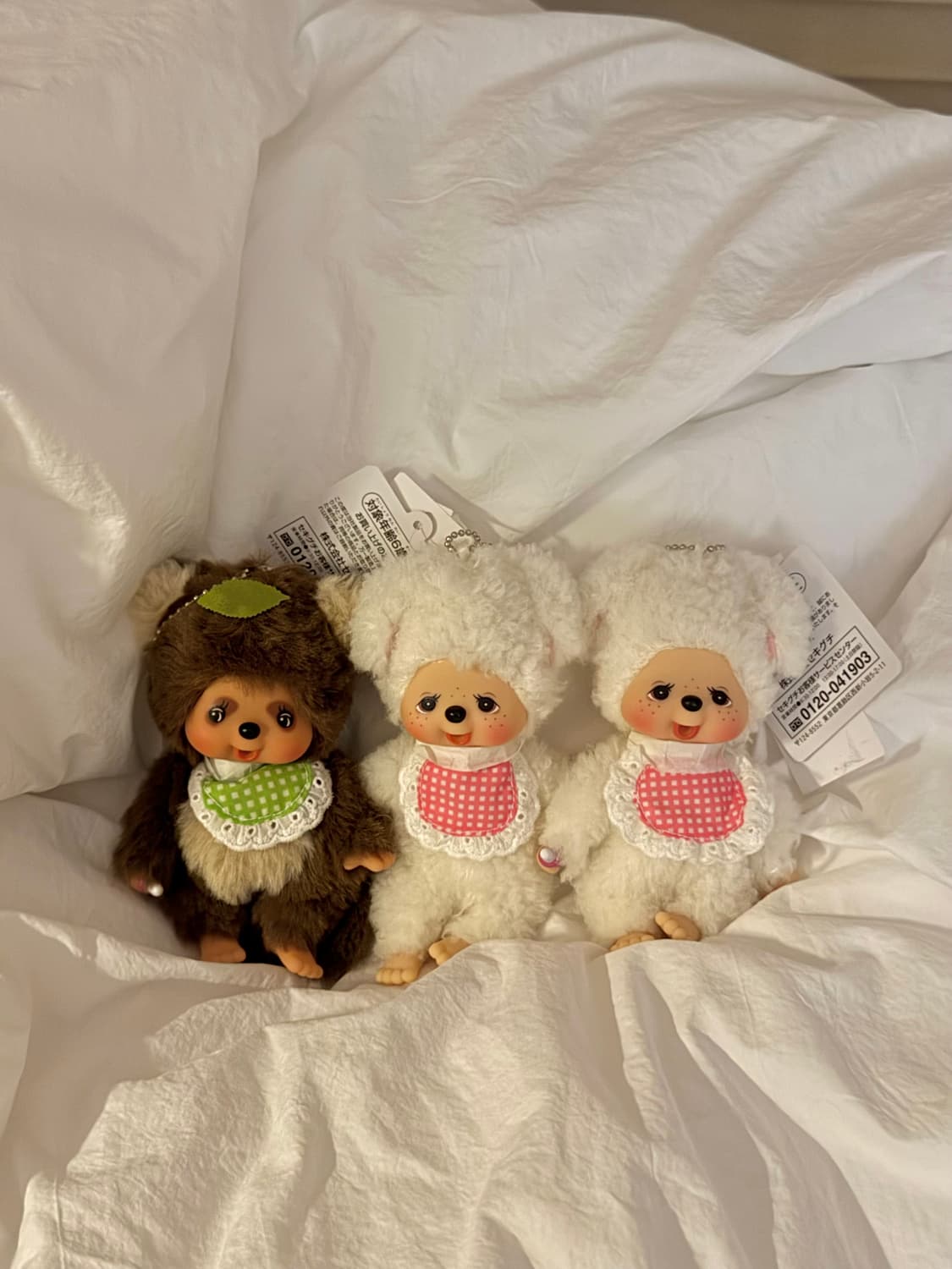 몬치치 토모다치 너구리 양 타누 키링 상품이미지1