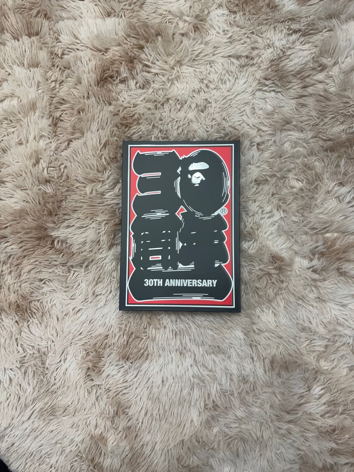 베이프 30주년 반팔티 (일본판) 상품이미지2