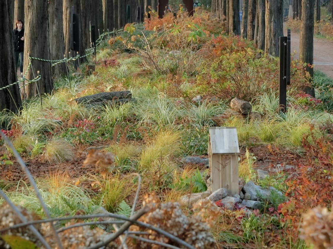 CASIO EXILIM EX-ZR70WE 상품이미지4