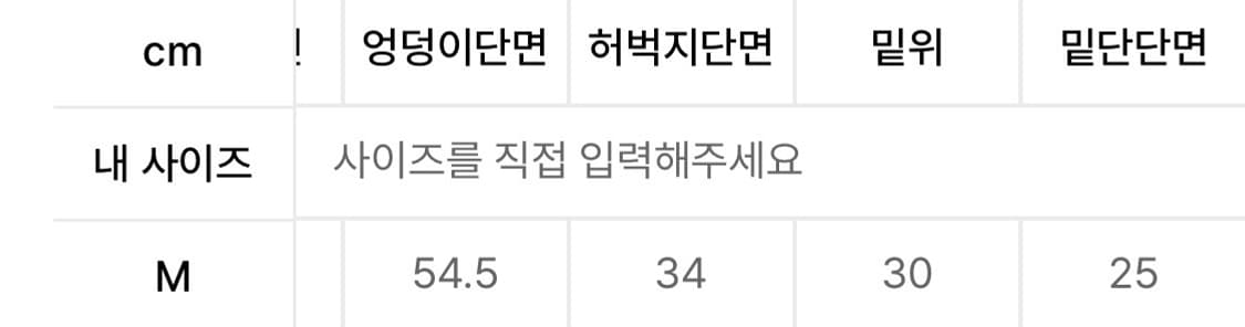 더콜디스트모먼트 23SS 카고팬츠 상품이미지6