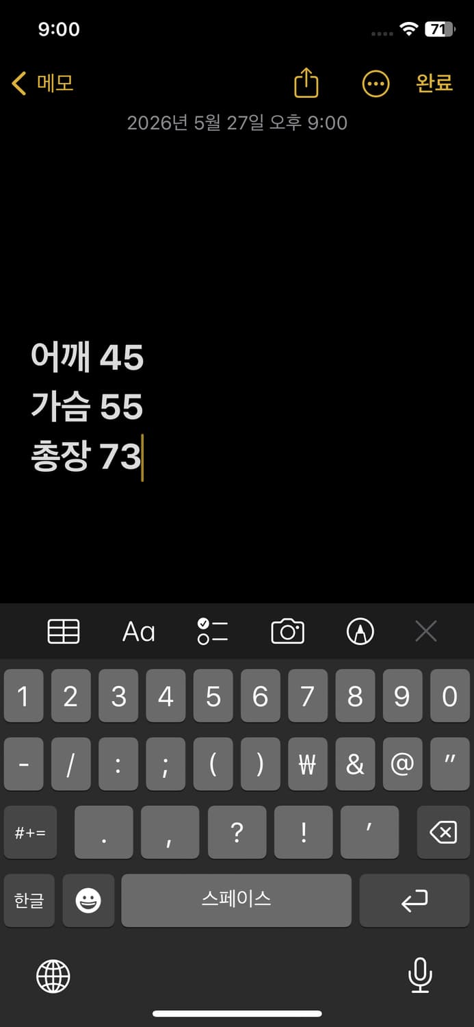 폴로 랄프로렌 빅로고 카라티 상품이미지6
