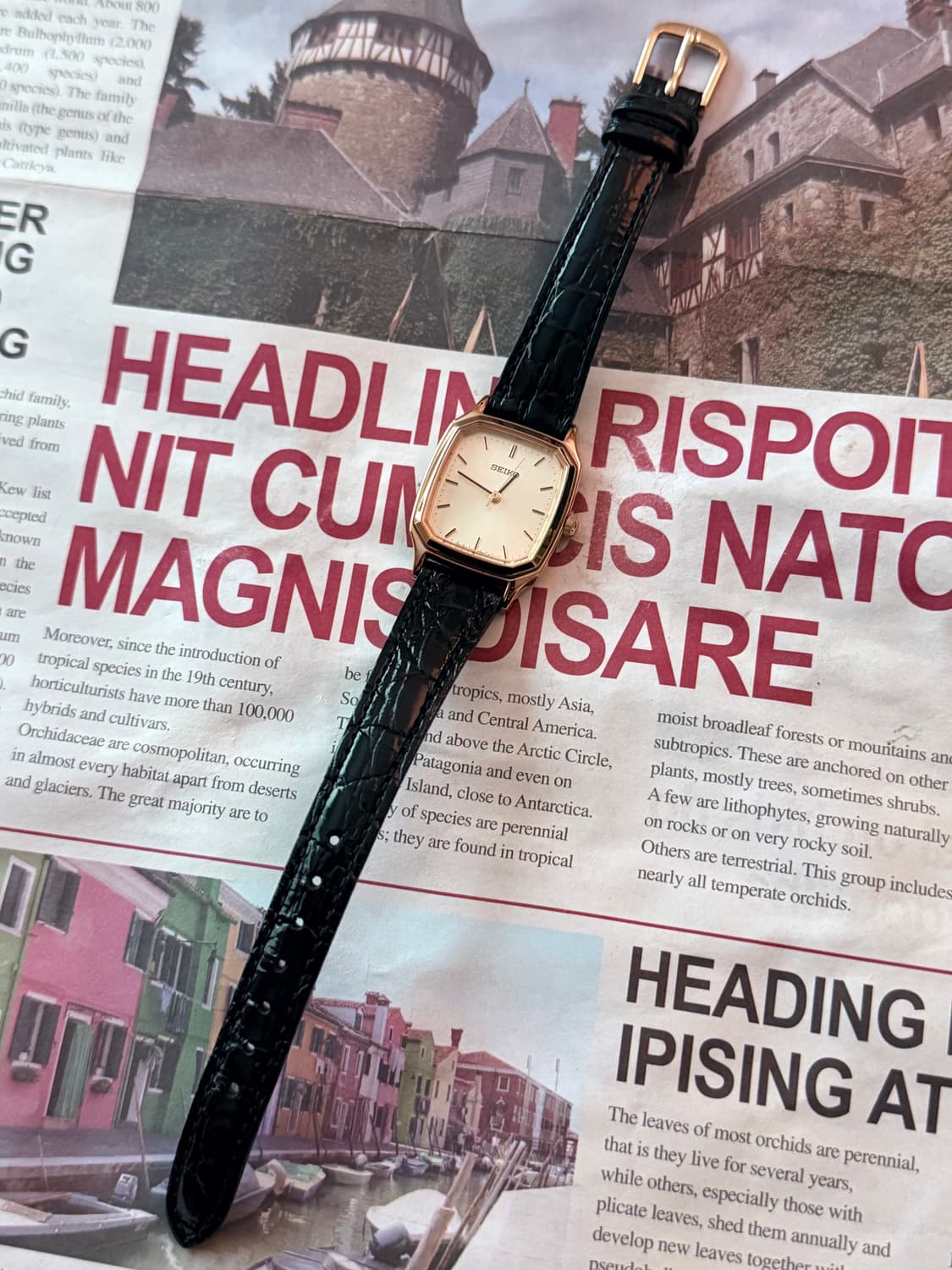 세이코 Seiko 스퀘어 골드 상품이미지2