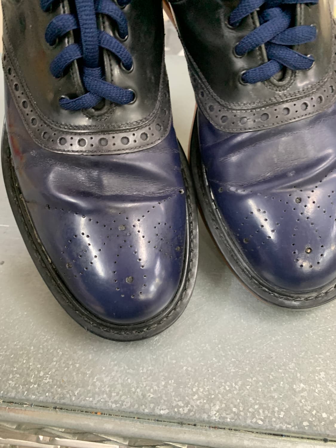 프라다 윙팁 에어 클리퍼 8(270) (Gr-3348) 상품이미지4