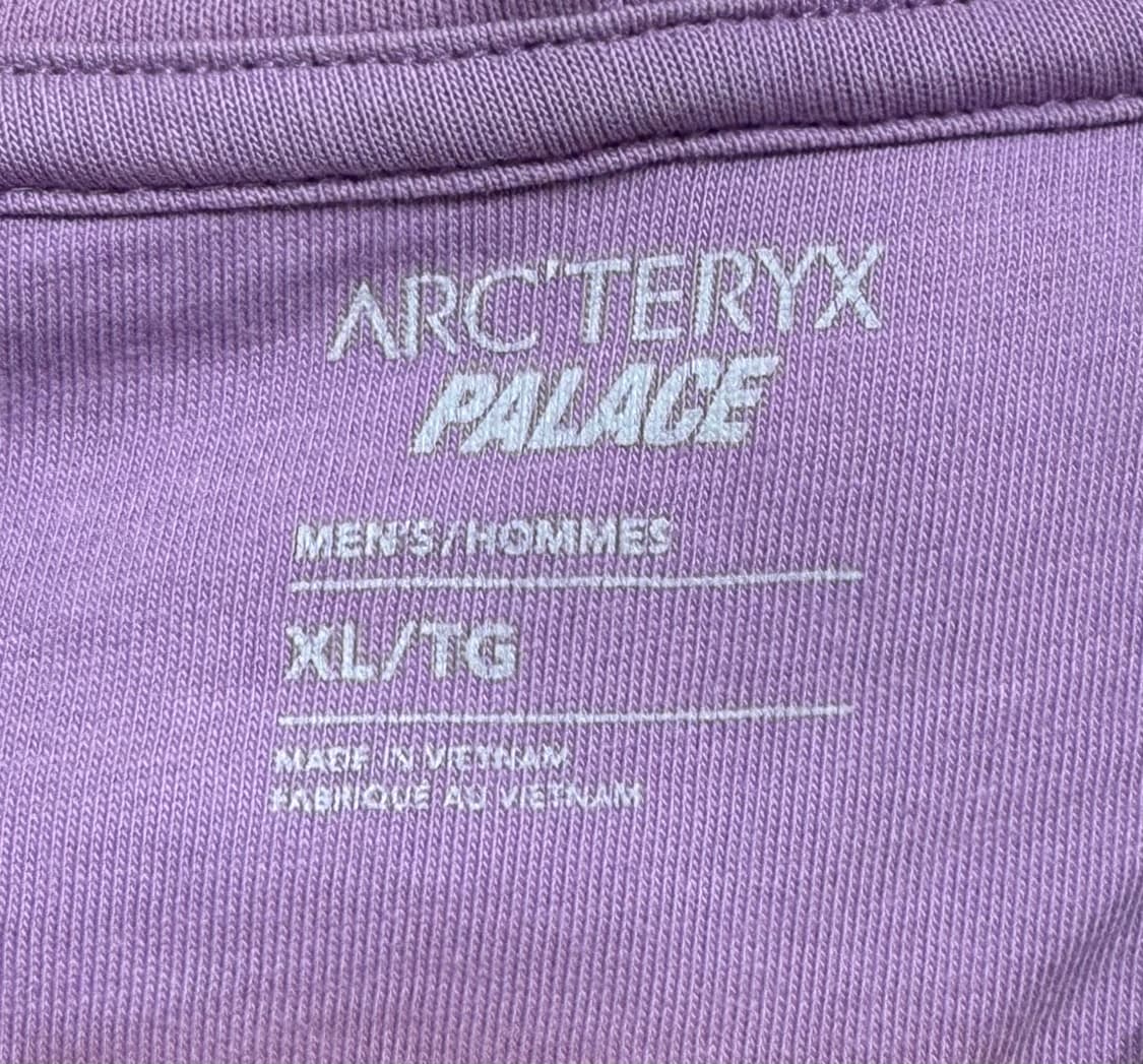 아크테릭스 X 팔라스 후드 헤이즈 상품이미지6