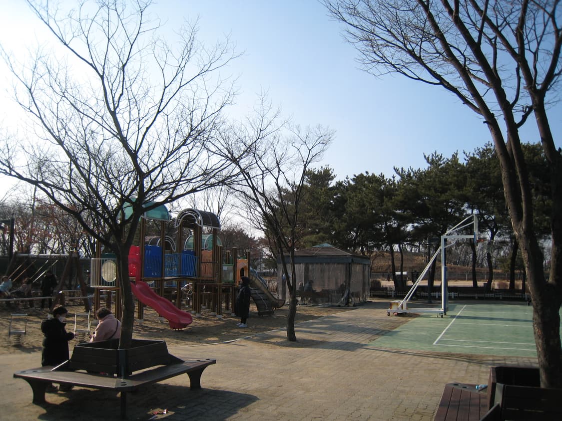 캐논 익서스ixus/80is 디카 (빈티지 카메라) 상품이미지5