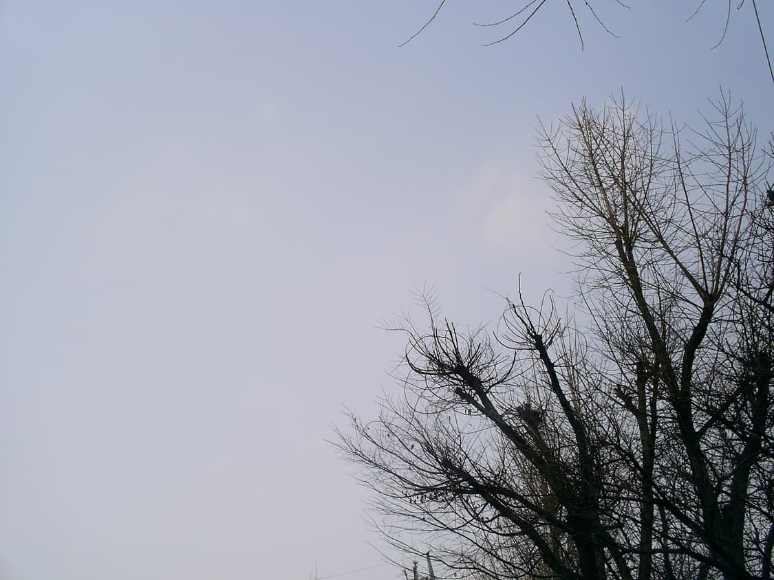 삼성케녹스 D402 디카 상품이미지7