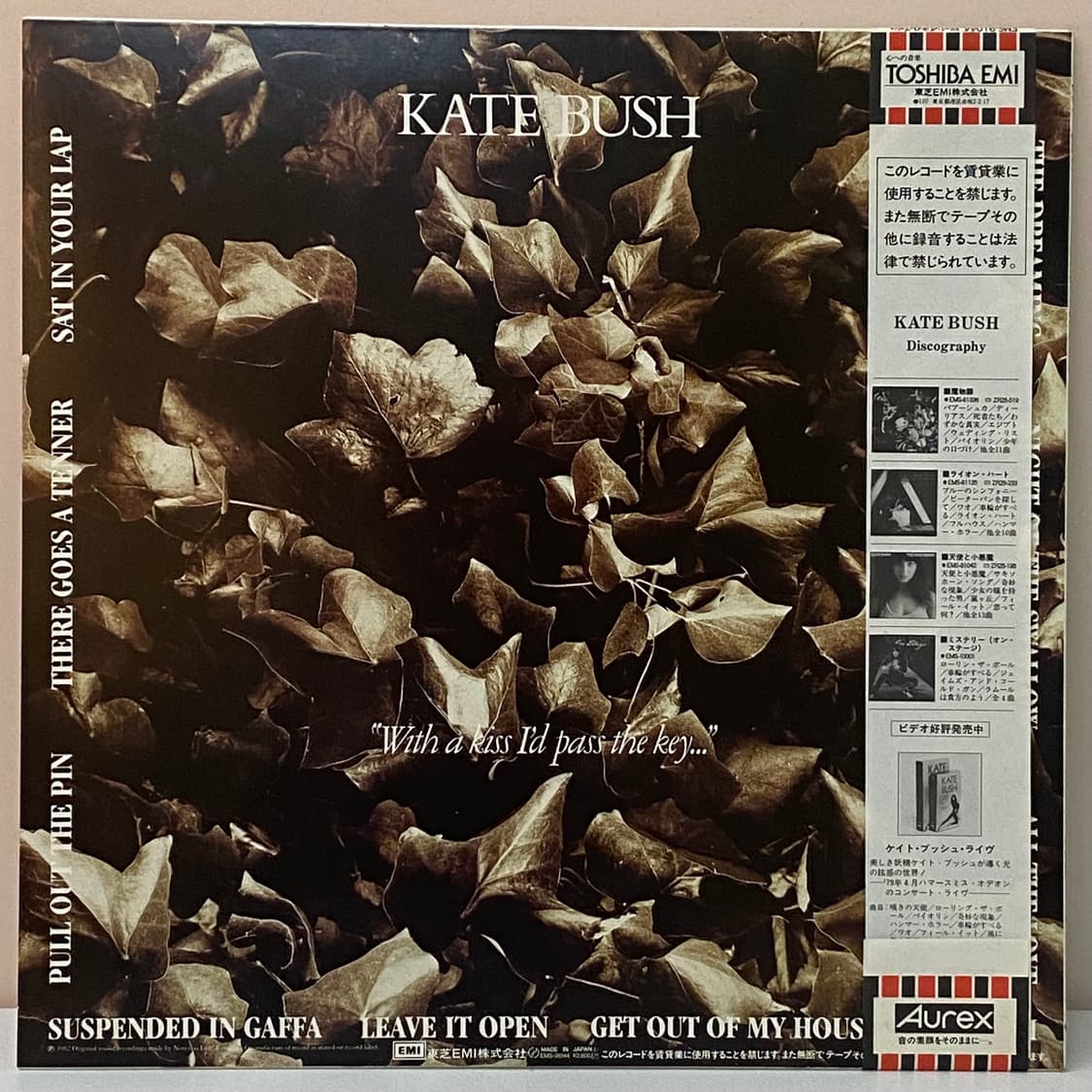 (LP-초민트시리즈) Kate Bush - The Dreaming 상품이미지2