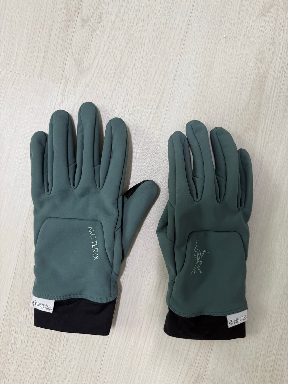 아크테릭스 벤타 글러브 L 상품이미지2