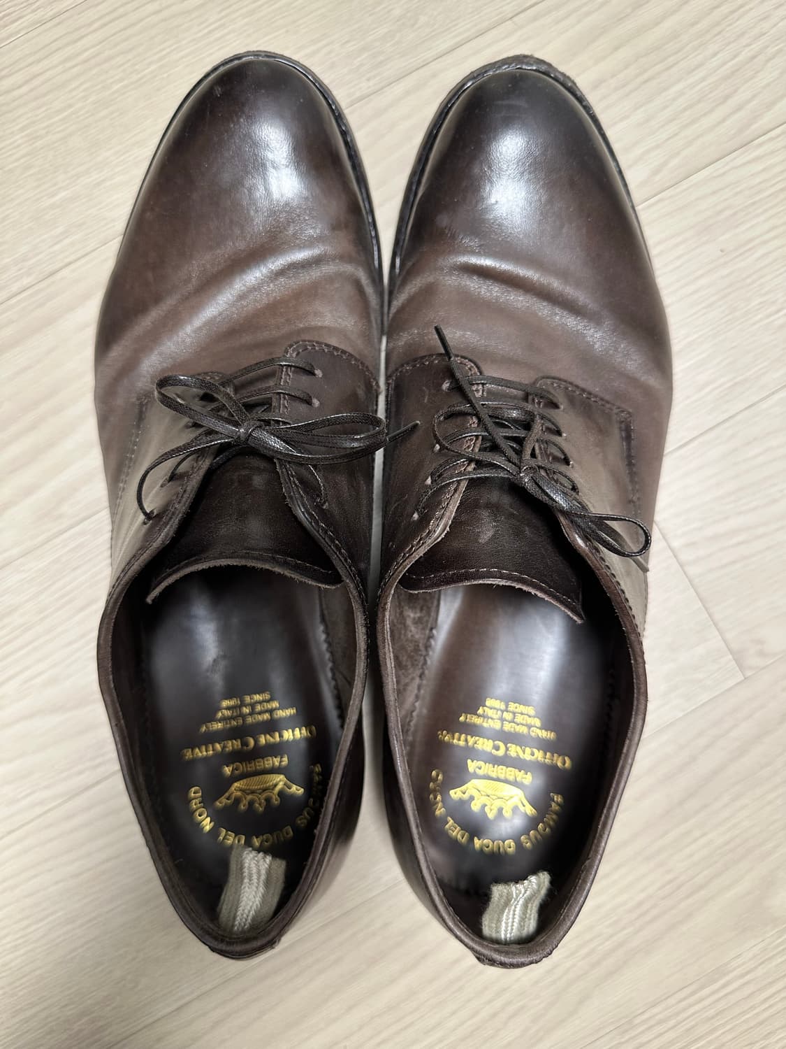 오피치네크리아티베 Anatomia 012 (Bordo) 43.5(285) 상품이미지1