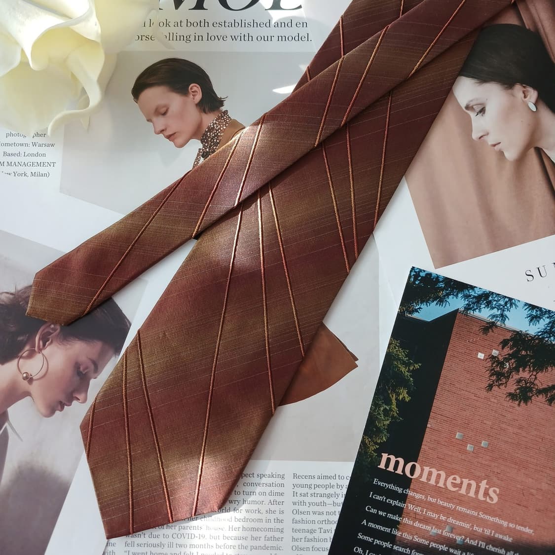 니나리치 실크 브라운 스트라이프 넥타이 9.4cm A등급 A18974
 상품이미지3