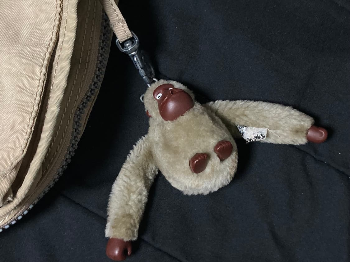 Vintage Kipling 빈티지 키플링 크로스백 베이지 상품이미지2