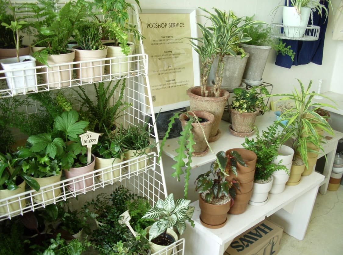 새상품 컨디션)) 롤라이 rollei rcp-s10 빈티지 디카 상품이미지8