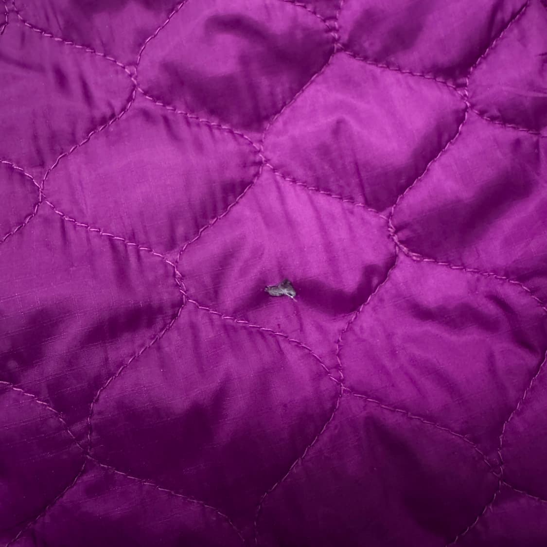 엘엘빈 고프코어 경량패딩 자켓 퍼플 상품이미지5